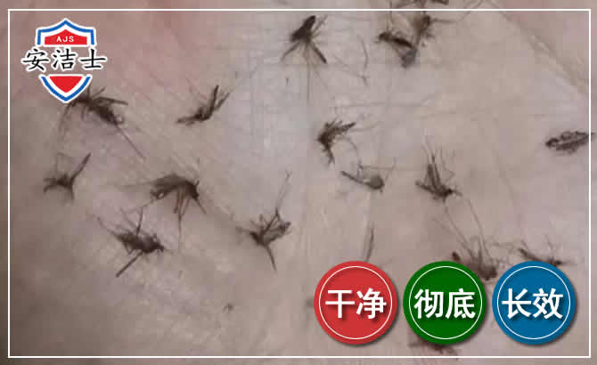 陵水蚊子防治-灭蚊