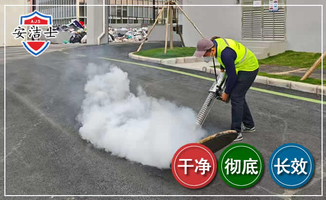 陵水消杀防疫现场