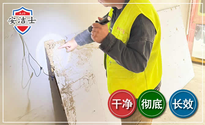 陵水除白蚁现场