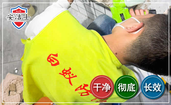 陵水白蚁根治现场